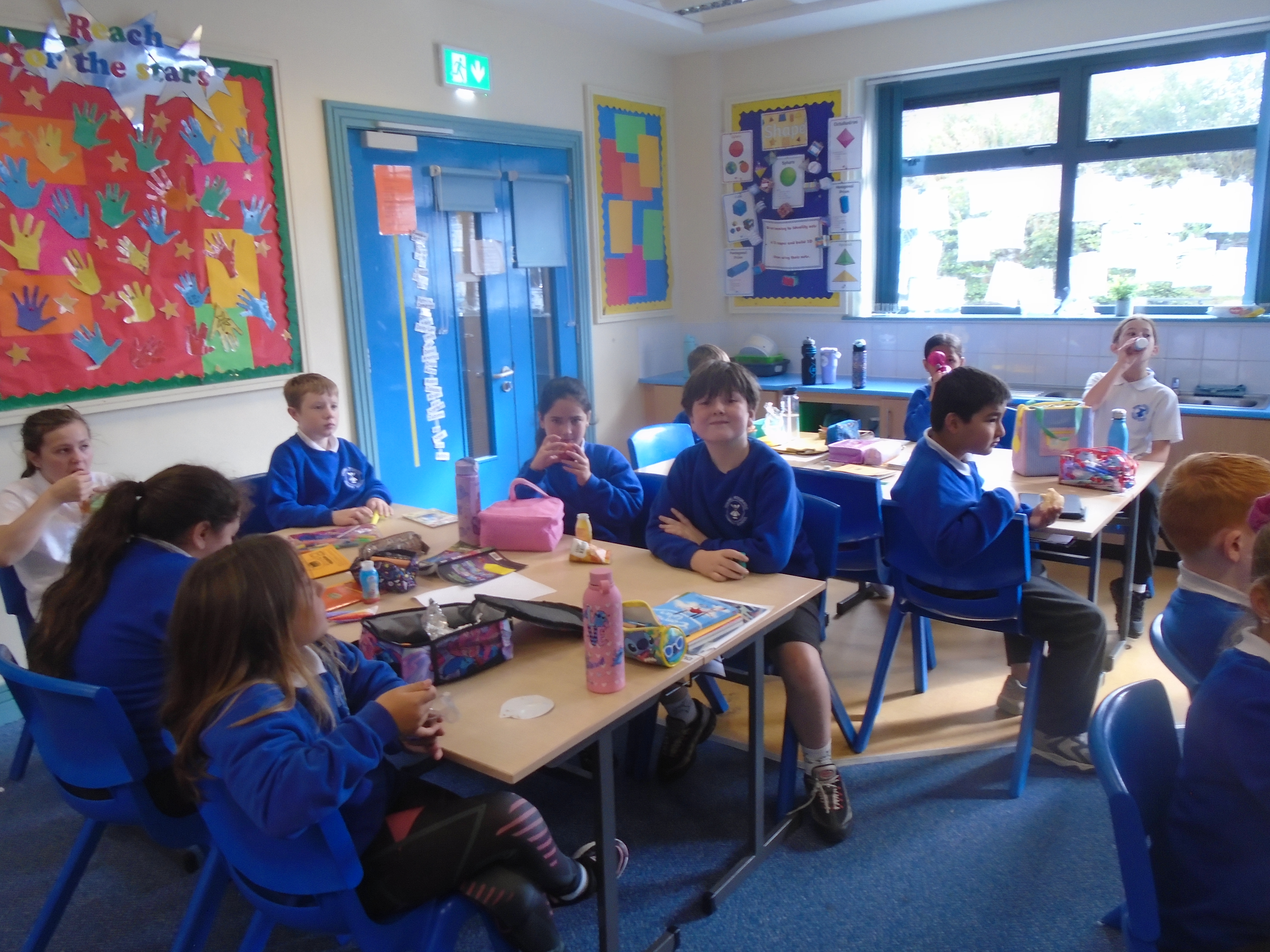 Primary 6