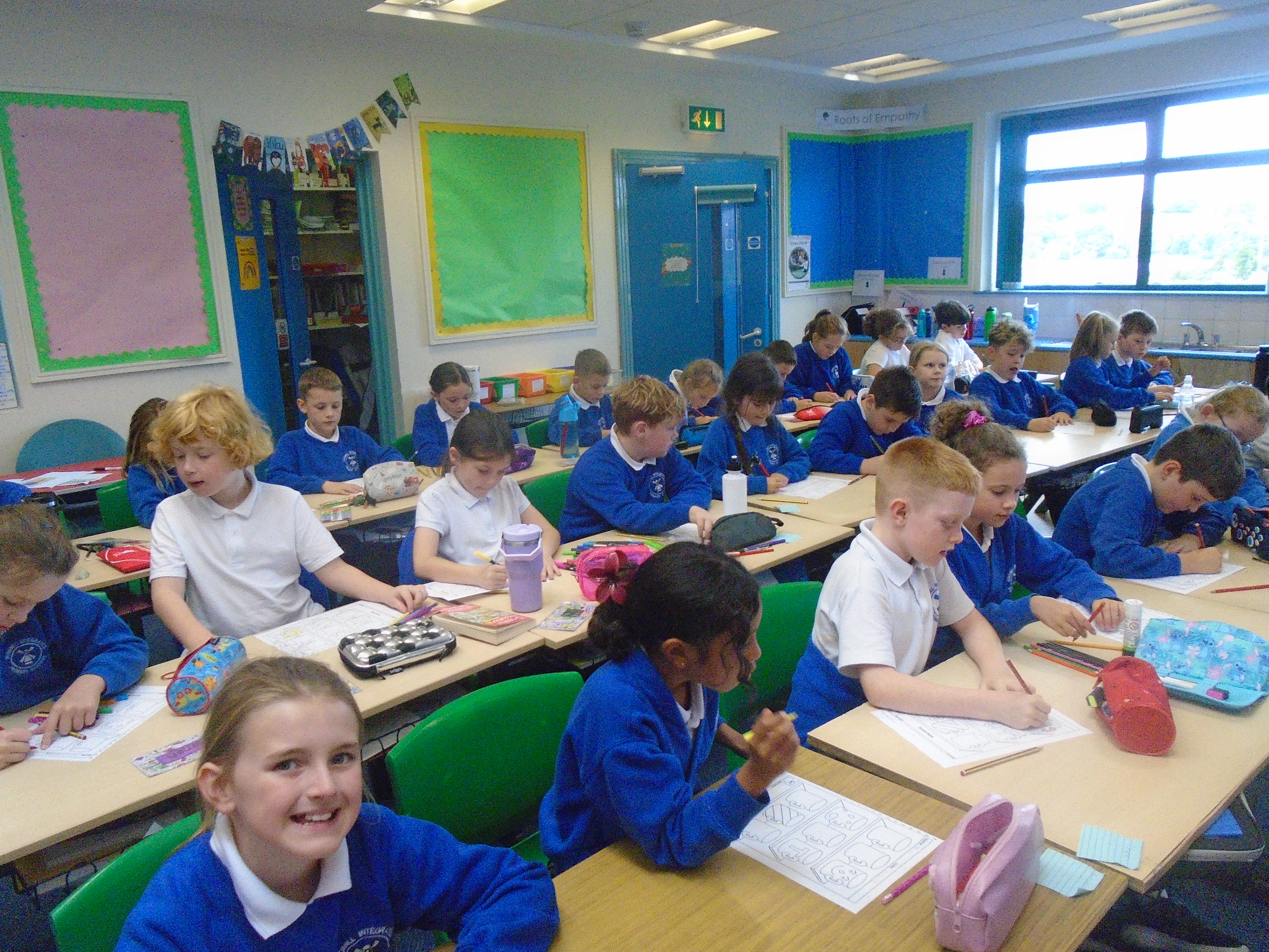 Primary 5