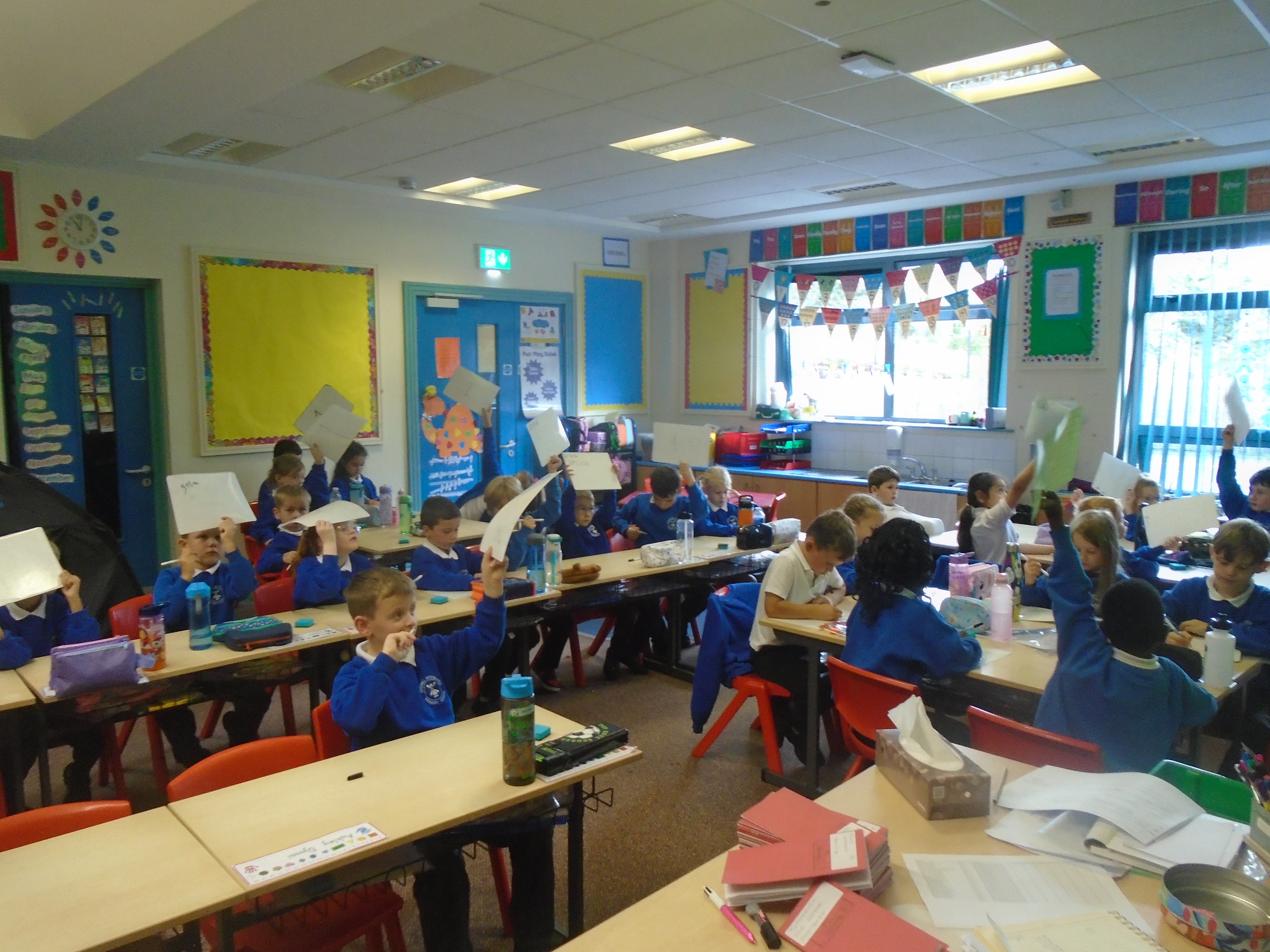 Primary 3