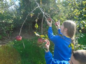 Check out our ECO Team picking our apples to make something really nice