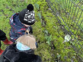Looking for signs of Spring. 