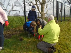 Eco Team Planting trees