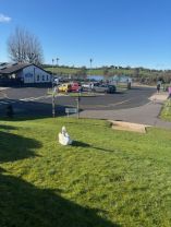 A Feathered Visitor at Windmill